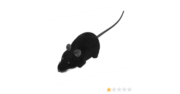 meowingtons remote control mouse