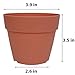 Axe Sickle 4 Inch Colorful Plastic Planter, Indoor Flower Pot, Mini Plastic Flower Seedling Nursery Pot, Garden Plant Pot Home Decoration, Flower Pot with Pallet 5 Pcs.
