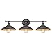 Westinghouse 6344900 Iron Hill Three-Light Indoor Wall Fixture, 3, Oil Rubbed Bronze