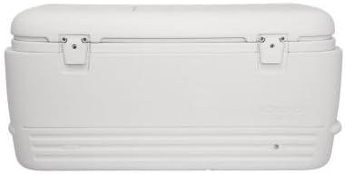 igloo split lid cooler