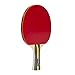 MightySpin Storm - Ping Pong Paddle with More Spin on Loops | An Edge Over Opponent Table Tennis Racket | 7-Ply Blade, Soft Rubber Surface Bat | For Beginner to Advanced (Paddle)