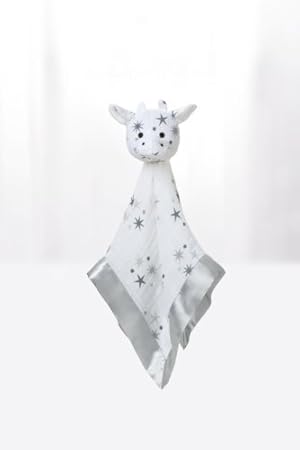 aiden and anais lovey