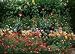 Cut Flower Seed Garden Mat - Instant Garden, Roll N Grow - Seeded Mat - Just Roll and Grow! (Easy & Hassle Free!) Plant in garden or family yard!