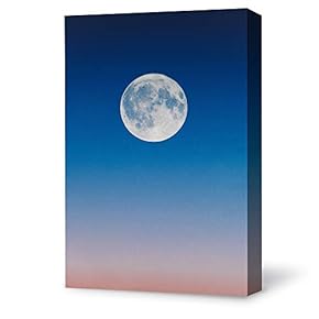 Bright Moon Shining Forests Painting Artwork for Home Framed