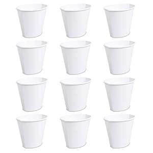 Product image for barcode 841342105004