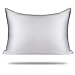 YANIBEST Silk Pillowcase for Hair and Skin, Standard Queen King Pillow with Hidden Zipper, Soft Breathable Smooth Cooling Pillow for Sleeping