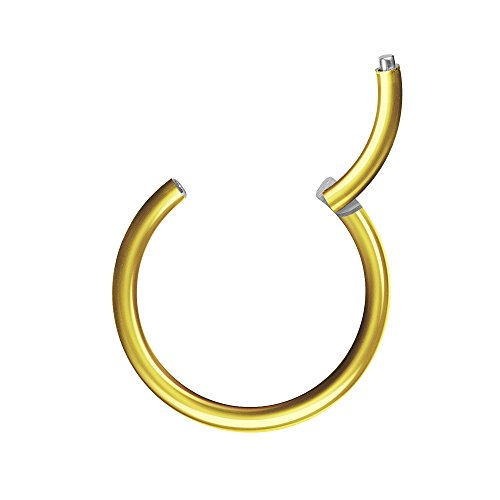 Piercingfaktor Universal Piercing Segmentring Septum auch für Tragus Helix Ohr Nase Lippe Brust Intim - Scharnier Clicker Ring