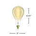 Bulbrite NOS60-PS 137101 60W Incandescent Grand Nostalgic Spiral Filament Bulb with Medium E26 Base, Antique Finish