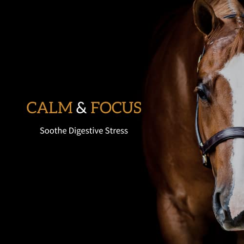 Daily Gold Stress Relief Natural Digestive and Ulcer Supplement for