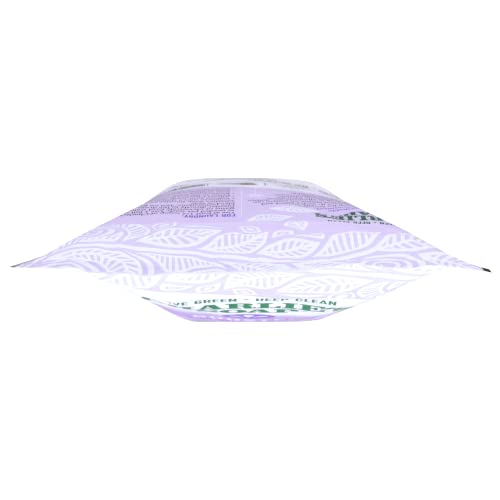 Charlie's Soap Booster & Hard Water Treatment (2.64 Lbs, 2 Pack