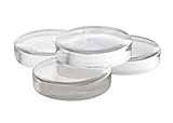 #1 Glass Fermentation Weights for Wide Mouth Mason Jars (4-Pack) – Fermenting Vegetables, Sauerkraut, and More in Canning Jars – Small, Home Batch Lacto Process