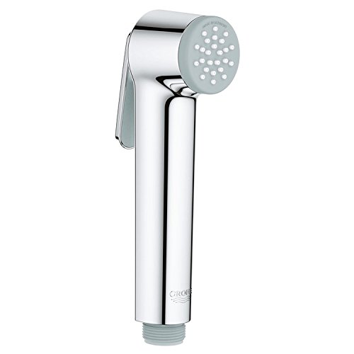 Grohe Trigger Spray Shower Head TempestaF 27512001 Buy Online in UAE