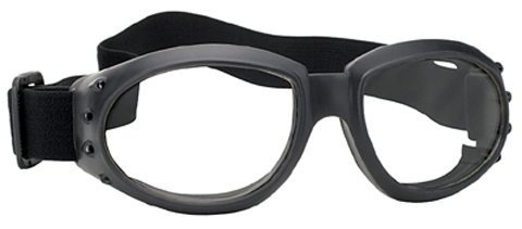 Pacific Coast Sunglasses Pulseclear/black