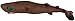 Deep Sea Creature Cookiecutter Shark Plush (29 cm)