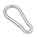 AOWISH Spring Snap Hook Carabiner Heavy Duty| 304 Stainless Steel Clips Keychain Buckles| 2-1/2'' 3-1/8'' 4'' 5-1/2'' Length| Home Gym Garage Camping Swing Hammock Hiking etc (M10, 3/8'' Dia, 2-Pack)