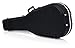 Gator Cases Deluxe ABS Molded Case for 12-String Acoustic Guitars; Fits Dreadnaught Styled 12-String Acoustic Guitars (GC-DREAD-12)