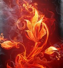 Kindle Fire HDX 7" Decal/Skin Kit, Flower of Fire