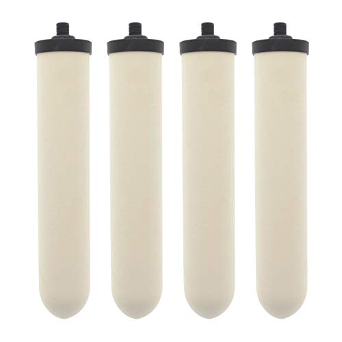 Doulton W9123053 UltraCarb 10 Inch Ceramic Candle Filter Cartridge (4