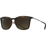 Ray-Ban RB4221 Sunglasses