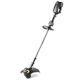 Poulan Pro PRST15i, 15 in. 58-Volt Cordless Straight Shaft String Trimmer (Battery Included)