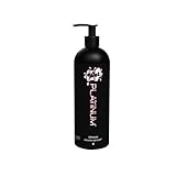 Wet Platinum Premium Silicone Lubricant 15.7oz by Triggs Laboratories