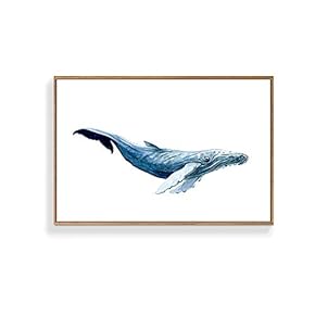 Framed Canvas Wall Art for Living...