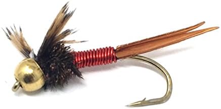 Feeder CreekFlies for Fly Fishing | Copper John Fly Fishing Flies | Nymph Flies | Trout Flies Bass Flies | Wet Flies | 12pc Fly Fishing Assortment | Fly Fishing Kit