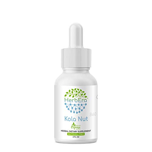 image for HerbEra Kola Nut B60 Alcohol-Free Herbal Extract Tincture, Organic Kol