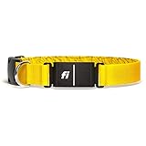 Fi Series 3 Smart Dog Collar - GPS Dog Tracker and