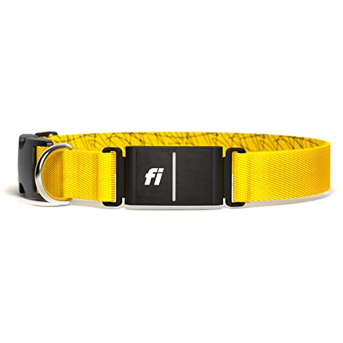Fi Series 3 Smart Dog Collar - GPS Dog Tracker and