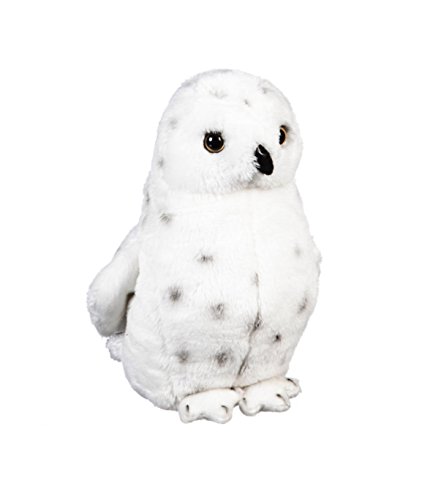 Boutique 7PLSH466 Snowy Owl Bean Bag, Multi-Colored Want It All