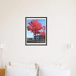 Medog 11x17 9x15 Picture Frame Black Poster Frame