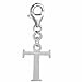 Pro Jewelry Dangling Letters Clip on Pendant Charm for Bracelet or Necklace (T.)