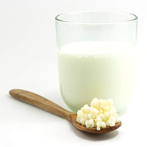 Raw Organic Superior Quality And The Best In Uk Organic Milk Kefir Grains Tibetan Mushroom 20 Buy Online In Aruba At Desertcart