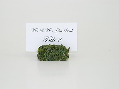 Place Card Holder + Moss Place Card Holder - 1.5 inches square - Set of 25