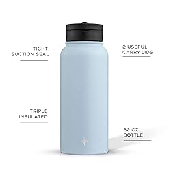 JoyJolt Triple Insulated Water Bottle with Straw