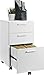 Ameriwood Home 9531196 Princeton Mobile File Cabinet, White