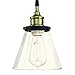 WISBEAM Pendant Lighting Fixture with Oil Rubbed Bronze and Brass Finish, RV Hanging Ceiling Lights with E26 Medium Base Max. 60 Watts, ETL Rated, Bulbs not Included, 2-Pack