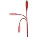 Amazon Basics MFi-Certified Lightning to USB A Cable for Apple iPhone and iPad - 4 Inches (10 Centimeters) - Red