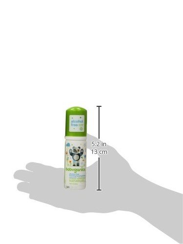 Babyganics Foaming Pump Hand Sanitizer, Alcohol Free, Travel Size, Fragrance Free, Kills 99.9% of Common Bacteria, Moisturizing, 1.69oz (Pack of 6)