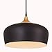 Metal Pendant Light, Briever 1 Light Dome Pendant Lamp, Black Braided Cable Chandelier, with LED Bulb