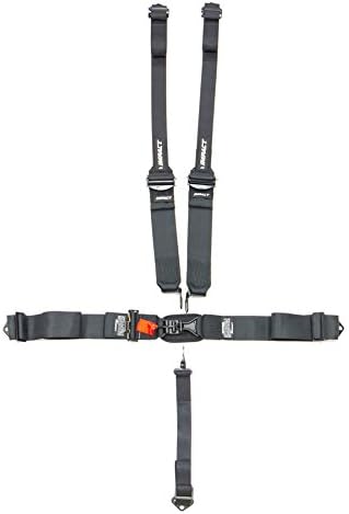 51111111HANS 5-Pt Harness System L&l W/hans Shoulder Straps