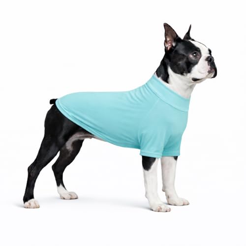 LoveLongLong Spring Summer Cooling Dog T-Shirt with UV Protection and Moisture-Wicking Fabric Blank Color Turquoise L