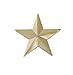 Forge 3D 5 Point Gold Star Lapel Pin (5 Pack)