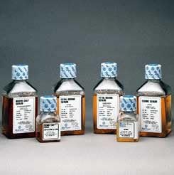 Serum Fetal Bovine, Defined (1 x 500 mL)