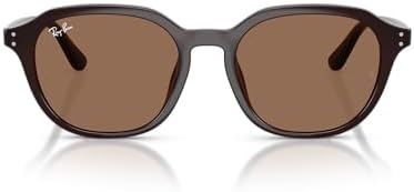 Amazon.com: Ray-Ban RB4423D Sunglasses, Black/Brown, 66 mm