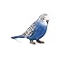 MOJO Blue Budgerigar (Australian parakeet) Realistic International Wildlife Toy Replica hand painted figurine