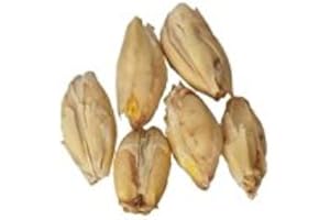 Malt - Briess - Pale Ale (50 lb Sack)