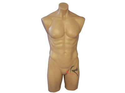 (PS-P908F) ROXY DISPLAY Plastic Male Mannequin Torso Flesh Tone Full Round, Also available in white color