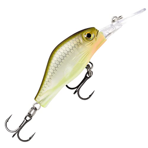 Rapala Visaas Shadow Rap Fat Jack-materiaal, forel, baars en pluggen, zacht, zwemdiepte 3 m - 4 cm, gemaakt in Estlandie-haymaker voor volwassenen, uniseks, meerkleurig, standaard
